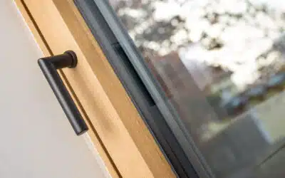 Was macht eine Olive am Fenster?