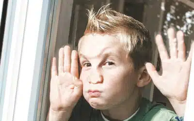 Einbruchsichere Fenster aus Österreich – mehr Sicherheit und Schutz für Ihr Zuhause