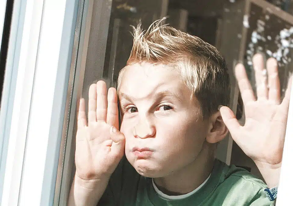 Einbruchsichere Fenster aus Österreich – mehr Sicherheit und Schutz für Ihr Zuhause